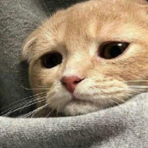 สมาชิกหมายเลข 6650310