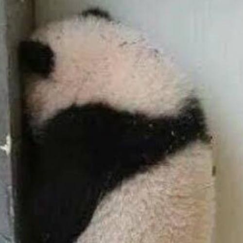 สมาชิกหมายเลข 6650331