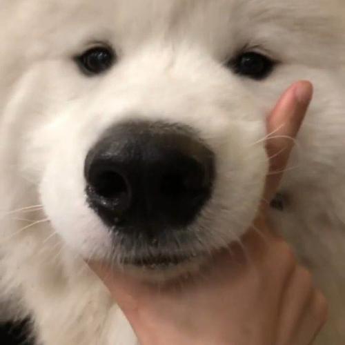 สมาชิกหมายเลข 7714682