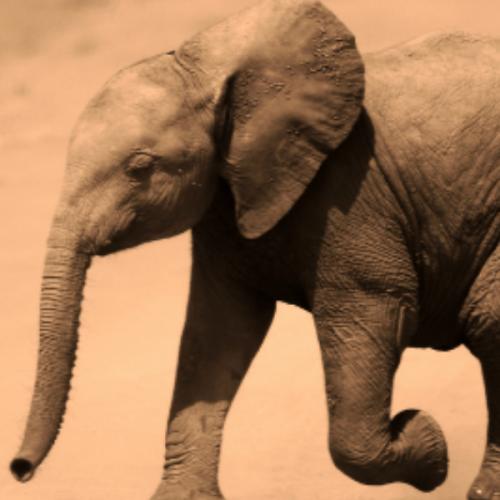 สมาชิกหมายเลข 8283602