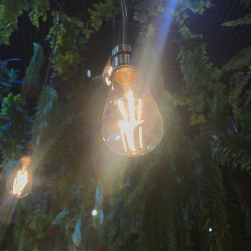 สมาชิกหมายเลข 3168527