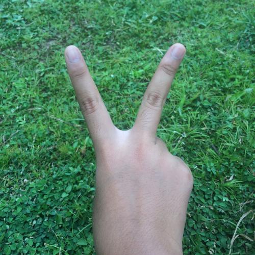 สมาชิกหมายเลข 4493343