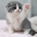 สมาชิกหมายเลข 4731128