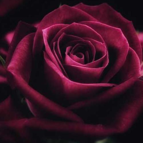 สมาชิกหมายเลข 4712822