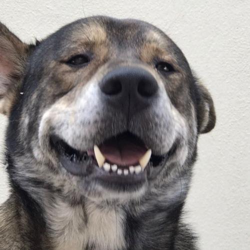 สมาชิกหมายเลข 4724547