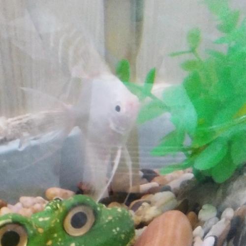 สมาชิกหมายเลข 6651148