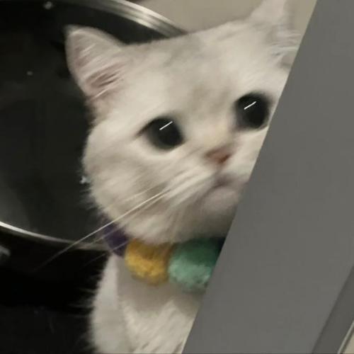 สมาชิกหมายเลข 5563077