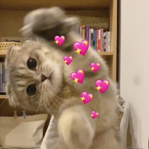 สมาชิกหมายเลข 6713311