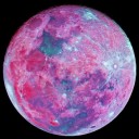 วราลีสีชมพู