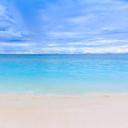 สมาชิกหมายเลข 4367293