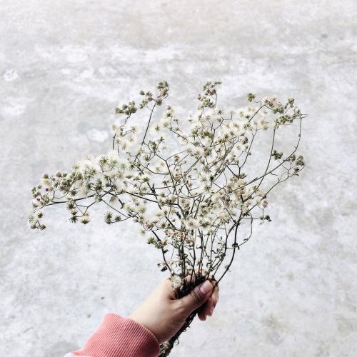 สมาชิกหมายเลข 2841122