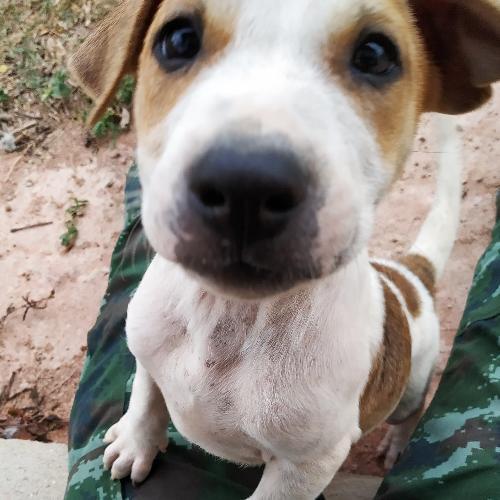 สมาชิกหมายเลข 4395320