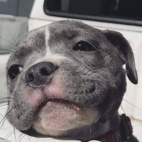 สมาชิกหมายเลข 4843472