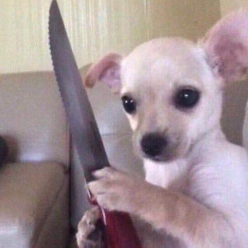 สมาชิกหมายเลข 5490290