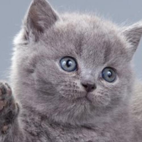 สมาชิกหมายเลข 3322122