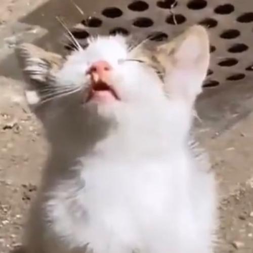 สมาชิกหมายเลข 1762411