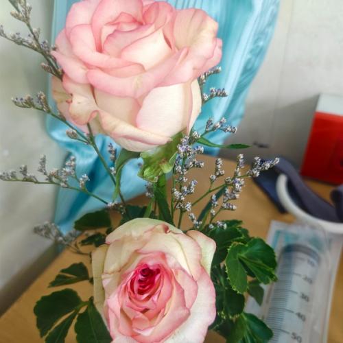 สมาชิกหมายเลข 8281294