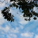 สมาชิกหมายเลข 2745545