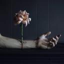 สมาชิกหมายเลข 3902628