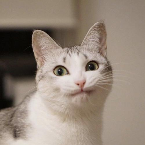 สมาชิกหมายเลข 899755