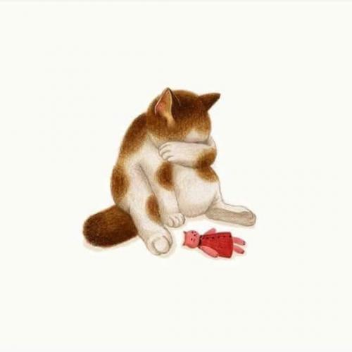 สมาชิกหมายเลข 4731834