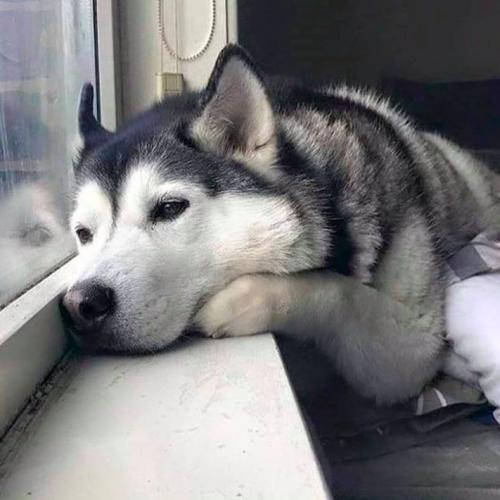 สมาชิกหมายเลข 5105173