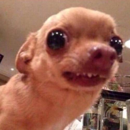 สมาชิกหมายเลข 5495616