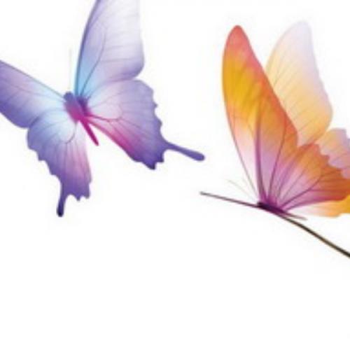 อ่อนไหวเหมือนใบไม้พริ้ว