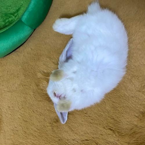 สมาชิกหมายเลข 2608156