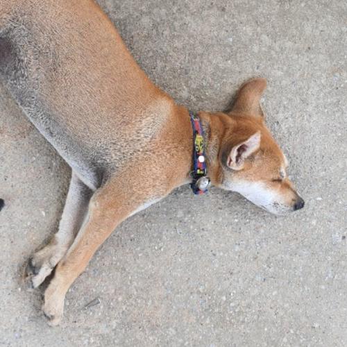 สมาชิกหมายเลข 6501487