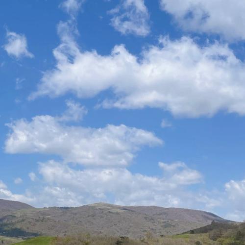 สมาชิกหมายเลข 6695342