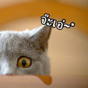 สมาชิกหมายเลข 4367194