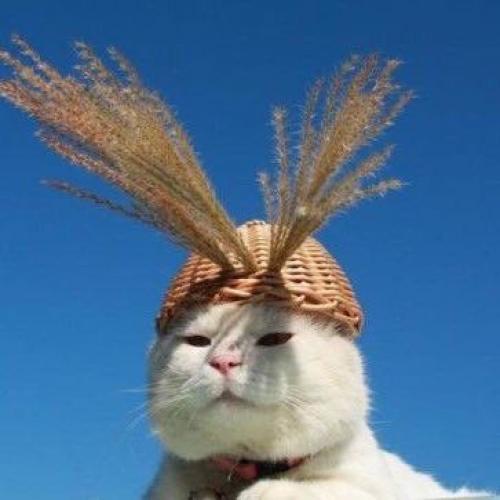 สมาชิกหมายเลข 4732223