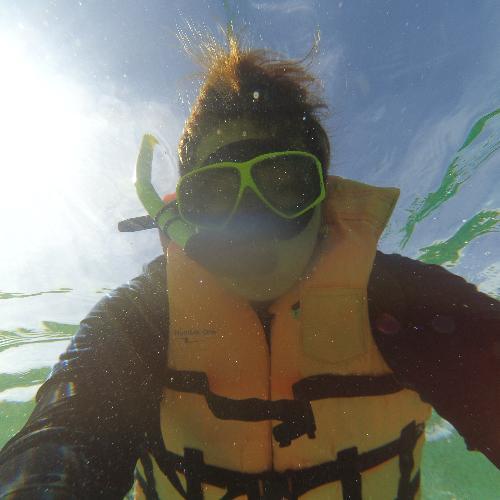 สมาชิกหมายเลข 4596395