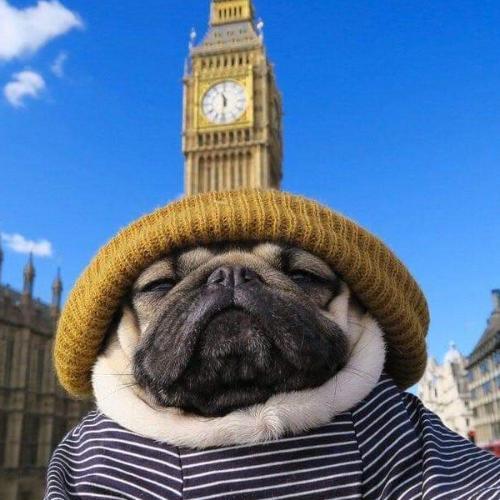 สมาชิกหมายเลข 3369633