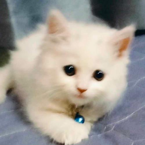 สมาชิกหมายเลข 8286936