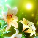 สมาชิกหมายเลข 1416108