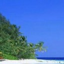 สมาชิกหมายเลข 3902455