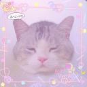 สมาชิกหมายเลข 3142680