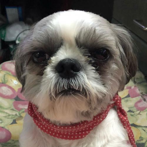 สมาชิกหมายเลข 3738023