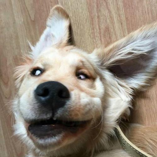 สมาชิกหมายเลข 5105949