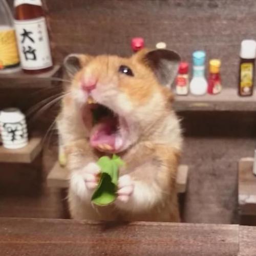 สมาชิกหมายเลข 6037955