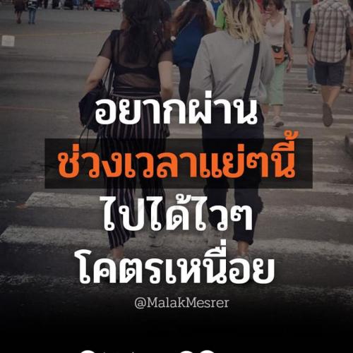 สมาชิกหมายเลข 6038112