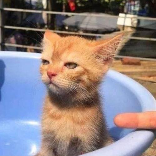 สมาชิกหมายเลข 6536021