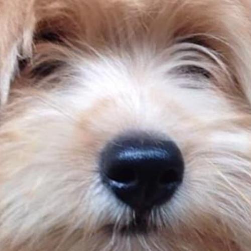 สมาชิกหมายเลข 7075931