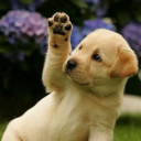 สมาชิกหมายเลข 1338026