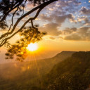 สมาชิกหมายเลข 4369039