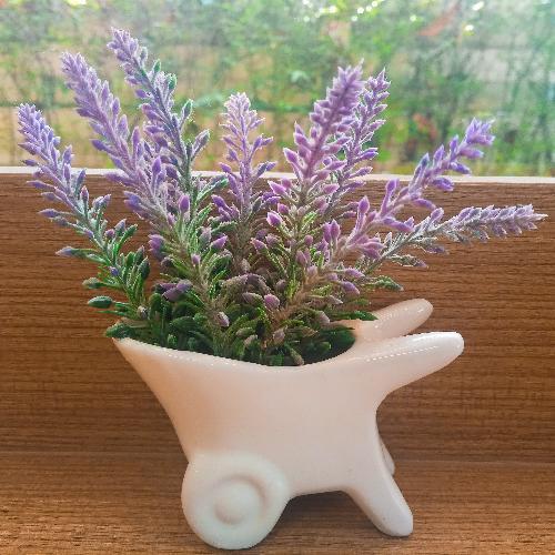 สมาชิกหมายเลข 2522878