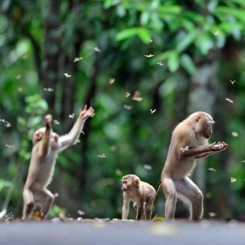 สมาชิกหมายเลข 6023296