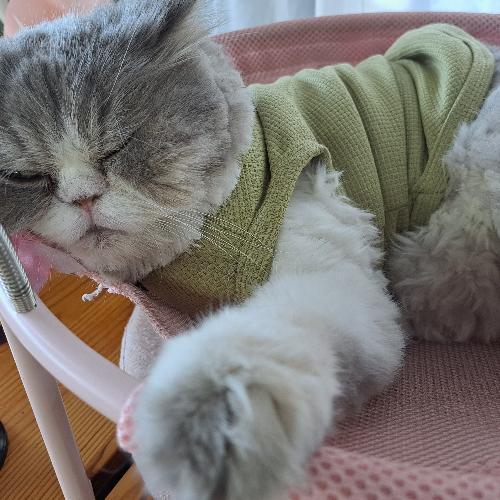 สมาชิกหมายเลข 2824049